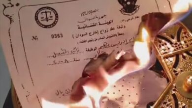 334895607 907077930417434 1285702853885256028 n