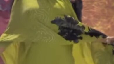 334912125 192312423443902 7879103955894208749 n