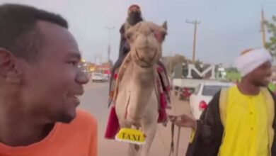 335086160 213491554615365 5771617386585515548 n