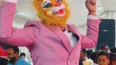 336245868 939028423894886 5587735020226087109 n