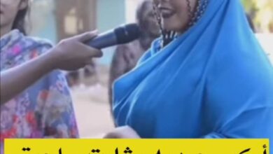 336702714 232921019210625 5507444217798463647 n