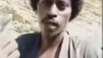 338514035 915485733125107 8233414685578084411 n