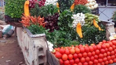 103890476 10158449842548007 3497040747471749472 n