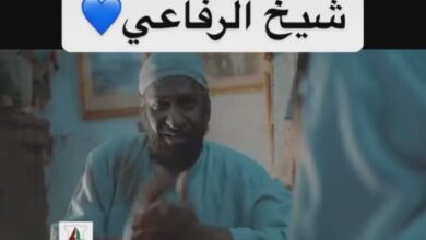 336501898 549855080608879 4013728092014765422 n