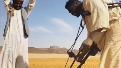 338443063 3325493051001169 2366745053443972869 n