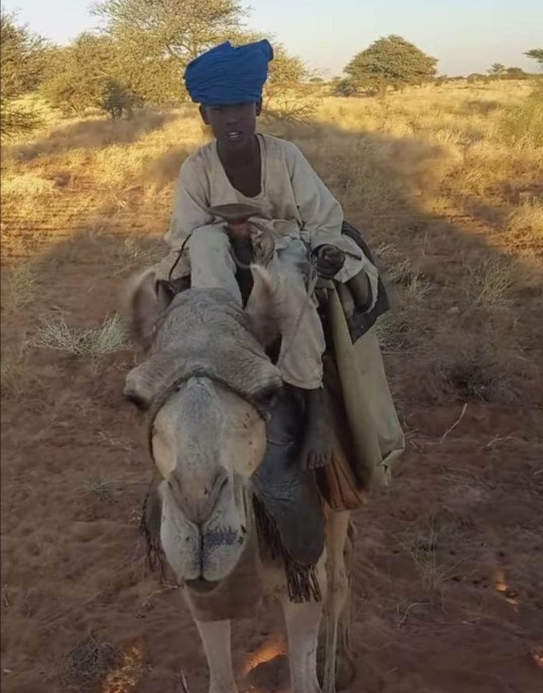 338666910 150950914299895 5497576245587212087 n