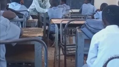 339260552 1019543042348302 8723064492663247121 n