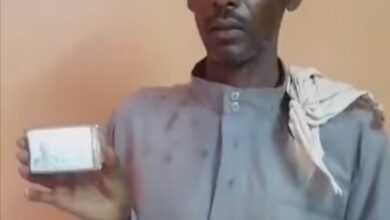 340542526 125416063846331 297498353180506292 n