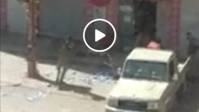 341012446 763870712080621 476584722788138240 n