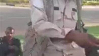 341101088 6613722835328003 2128996118900788796 n