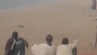 341996347 143494158671436 1872265822726617274 n