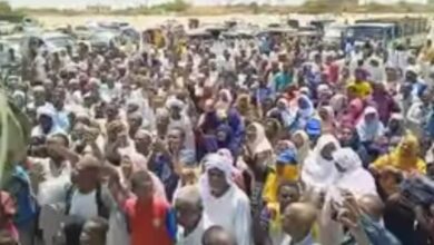 342034725 749788286881126 7609028895370661184 n