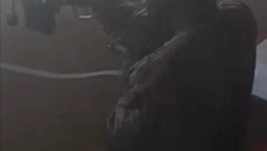 342070541 204029702396908 5588674054522991925 n