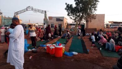 342186135 796456854773233 1462670562026099175 n