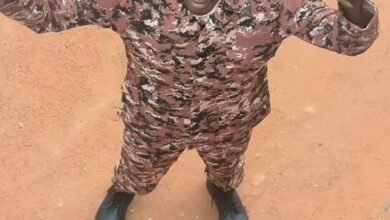 342350012 1423738705066211 6851257873059638767 n