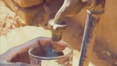 342552376 160562370284437 6948286913373194016 n