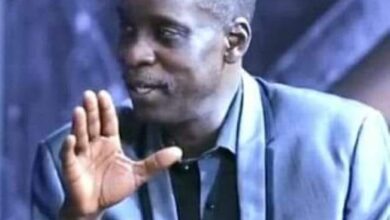 342921974 747290747180475 2017225816532118786 n