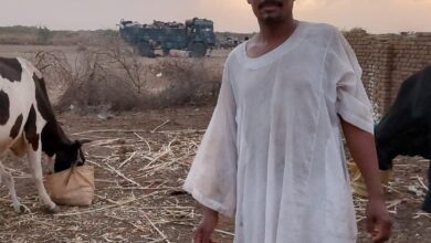 343584854 911695516719800 5939542348812613506 n