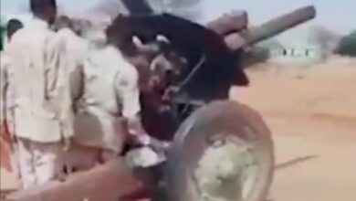 343933223 1678026929337580 4783093329129469882 n