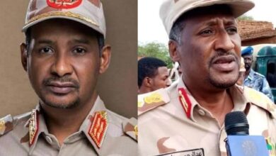 343949070 186200444297046 7818381956090059884 n