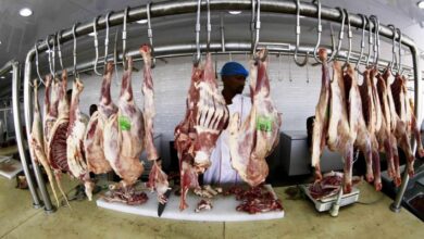 zXTxxTkVV8HaWuLngS67IC2uKlBqpnzFyFjDWFul