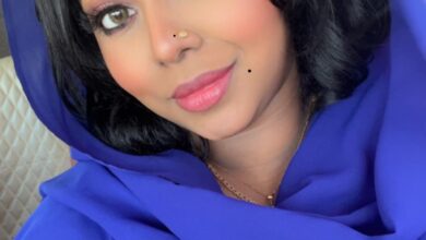 339694817 1640416236390780 4543376371153256153 n