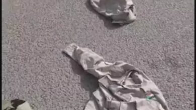 341981206 102945086117555 7310733183442102774 n 1