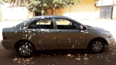 342627060 229739189666255 6929596357454730694 n