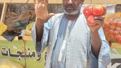 344820339 265999462509992 8942779149327414121 n