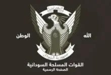 سنكات تخرج في مسيرة هادرة مؤكدة الالتفاف الشعبي حول القوات المسلحة 31 صقر