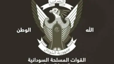 صقر