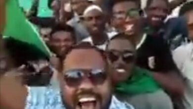 345895194 570687048523355 7751455025984579285 n