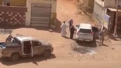 346098394 799044678229722 4252250897463196004 n