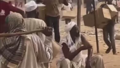 346104281 536035332071563 6808456037863261994 n