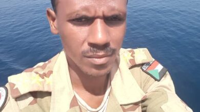 347624127 245135721432283 2119925408978265559 n