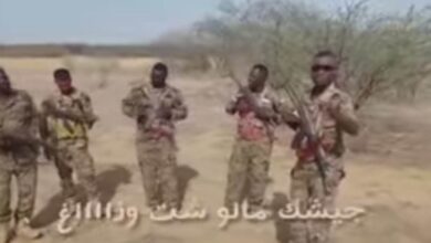 349333723 193005050355065 5395653105862865983 n