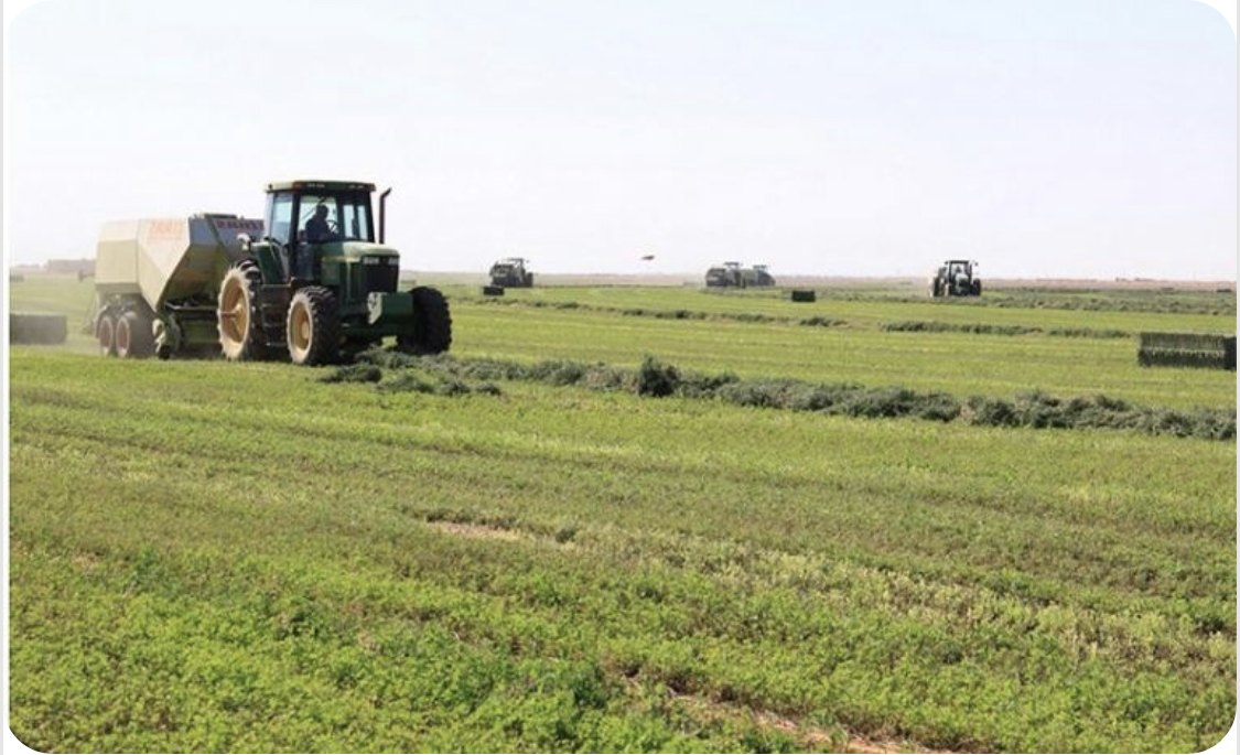 دعم من العاملين بمشروع الجزيرة لمراكز الإيواء بمدني 10 IMG 1220