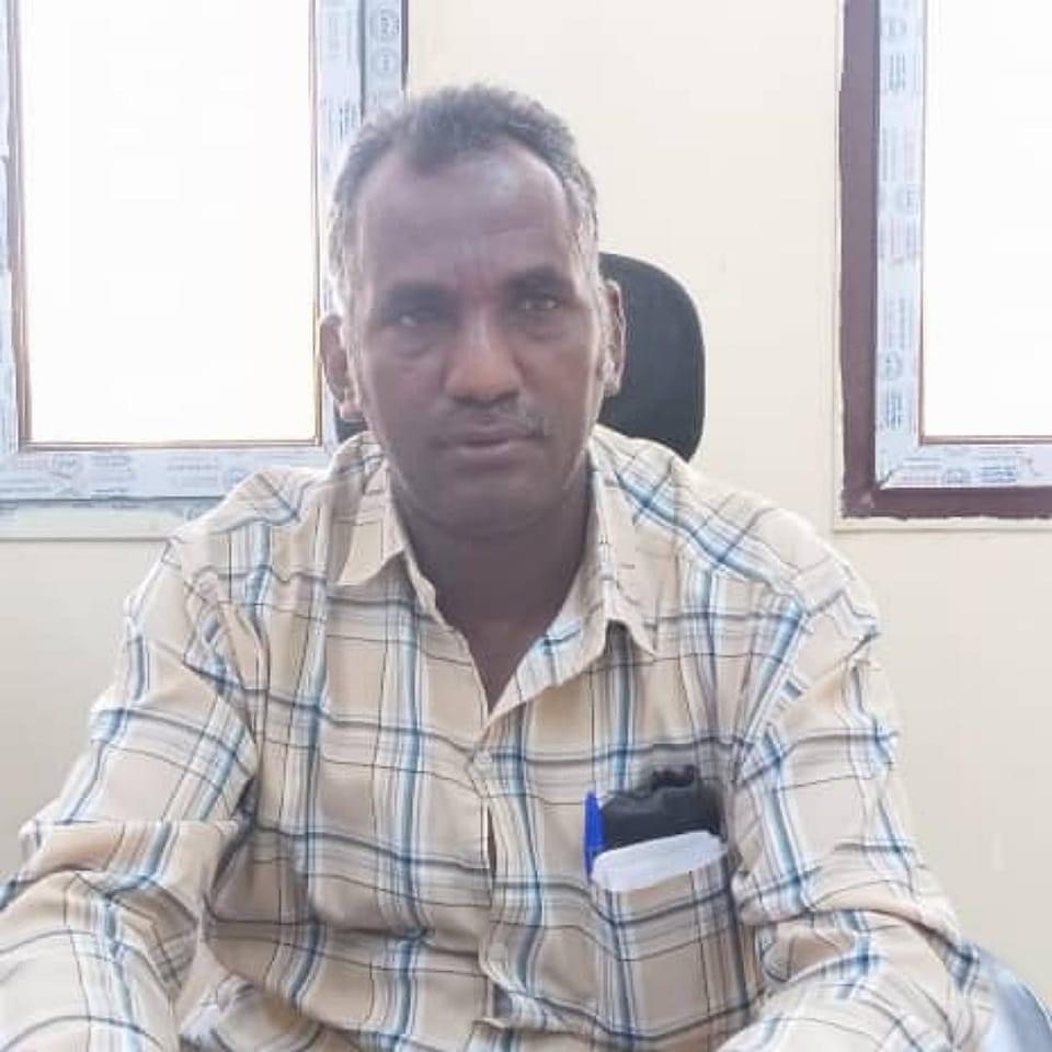 الشمالية تكمل حصاد اكثر من ٩٠ ألف فدان قمح 10 IMG 1448