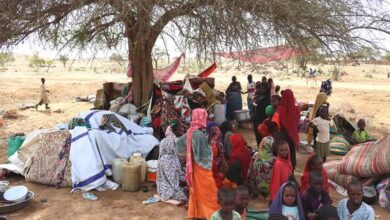 image560x340cropped 1