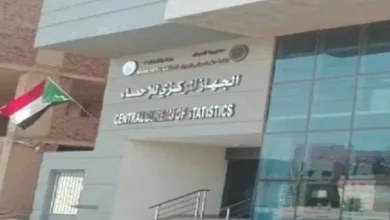 الجهاز المركزي للاحصاء السودان 768x455 1.jpg