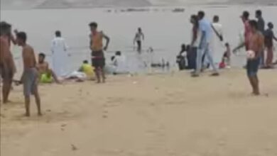 350729427 254394083934726 6439577989761148446 n