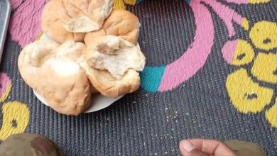 352271926 225925166878066 9072173340817613943 n