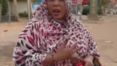 352590728 1393921064502877 8245546762484956924 n