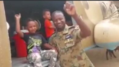 353594682 183665331022833 4203483541442514833 n