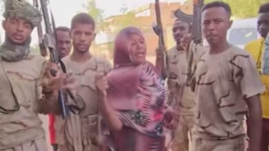 354453601 958791035363827 1845787772647186703 n