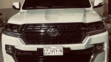 355335824 822745149223149 5836778976885188230 n