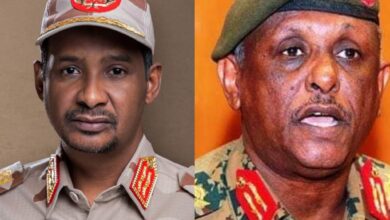 355842087 770023034804188 7341635786842901073 n