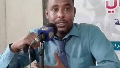 نورالدين صلاح الدين