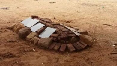 356409961 9721805201226976 3220816128687095536 n