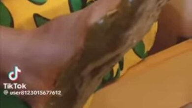 361356182 3416864355242245 3172894541496604722 n